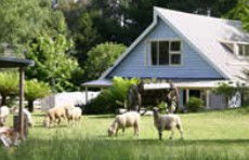 Hide-Away Cottage Retreat - Tourism Caloundra 2