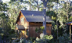 Cradle Mountain Highlanders - Tourism Caloundra 1