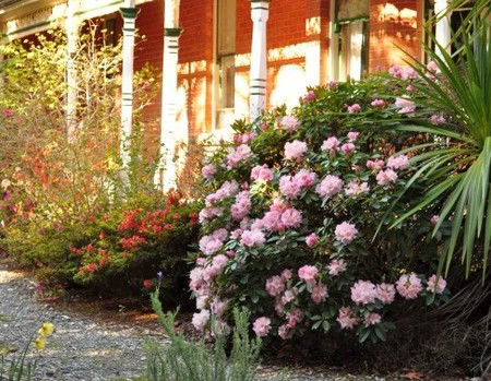 Ormiston House - Tourism Caloundra 3