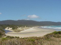 Cloudy Bay Cabin - Tourism Caloundra 1
