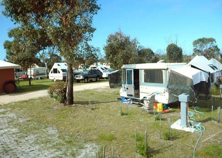 Scamander Sanctuary Caravan Park - Tourism Caloundra 2