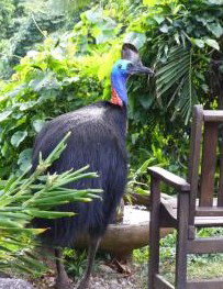 Sanctuary Retreat - Tourism Caloundra 2