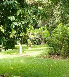 Kingfisher Park Birdwatchers Lodge - Tourism Caloundra 0