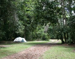 Kingfisher Park Birdwatchers Lodge - Tourism Caloundra 5