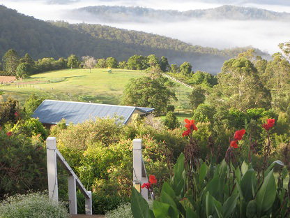 Blue Summit Cottages - Tourism Caloundra 5