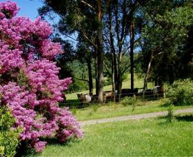 Figlea Cottages - Tourism Caloundra 0