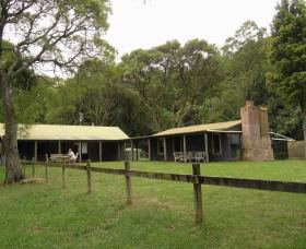 Tree Fern Lodge - Tourism Caloundra 0