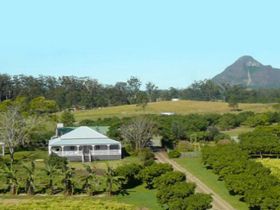 Peachester QLD Tourism Caloundra