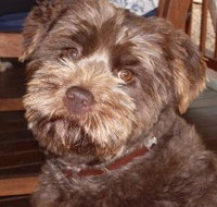 Lagoon Pocket Bed and Breakfast - Tourism Caloundra