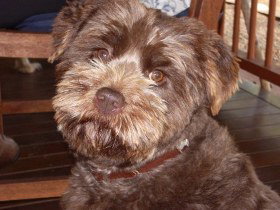 Lagoon Pocket Bed And Breakfast - Tourism Caloundra 0