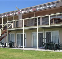 Coral Tree Lodge Tourist Park - Tourism Caloundra