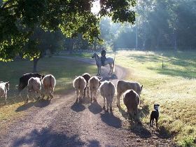 Brooloo Park - Tourism Caloundra 0