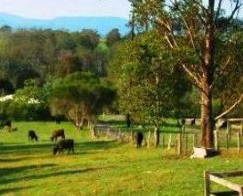 Giba Gunyah Country Cottages - Tourism Caloundra 1