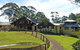 Indooroopilly - thumb 1