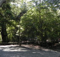 Booderee National Park Green Patch camping area - Tourism Caloundra