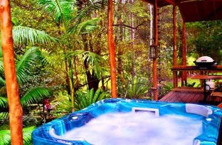 A Waterfall Hideout-Rainforest Cabin For Couples - Tourism Caloundra 5
