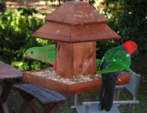 Chauvel Park B And B - Tourism Caloundra 2