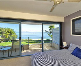 Dolphins - Tourism Caloundra 0