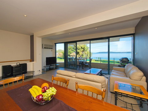 Dolphins - Tourism Caloundra 1