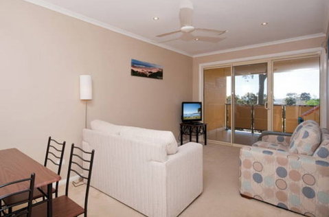 Bellima - Tourism Caloundra 3