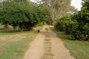 Murray Bank Holiday Units And Yabby Farm - Tourism Caloundra 5