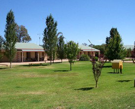 Narrandera Caravan Park - Tourism Caloundra 0