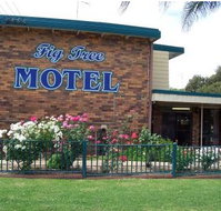 Fig Tree Motel - Tourism Caloundra