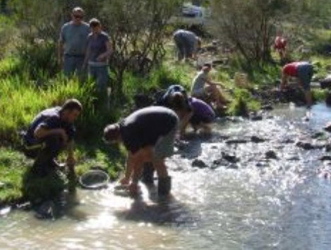 Bullock Mountain Homestead - Tourism Caloundra 1