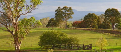 Barrington Village Retreat Bed And Breakfast - Tourism Caloundra 1