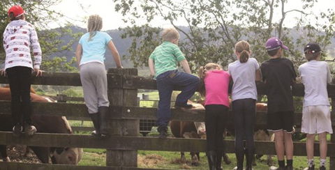 Ashmar Farm Stay - Tourism Caloundra 4