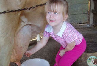 Ashmar Farm Stay - Tourism Caloundra 5