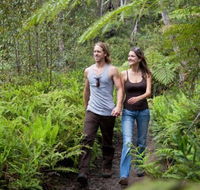 Blackheath Glen Tourist Park - Tourism Caloundra