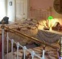 A Winter-Rose Cottage Bed and Breakfast - Tourism Caloundra