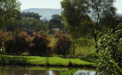 Amazing Country Escapes - Evanslea By The River - Tourism Caloundra 4
