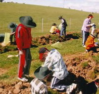 Banderra B and B Farmstay - Tourism Caloundra
