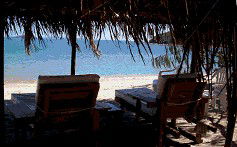 Svendsens Beach, Great Keppel Island - Tourism Caloundra 2