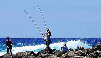 Fraser Island Fishing Units - Tourism Caloundra 3