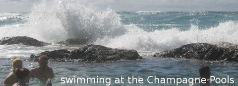 Fraser Island Fishing Units - Tourism Caloundra 4