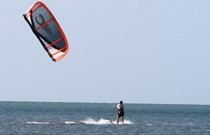 Pialba Beachfront Tourist Park - Tourism Caloundra 2