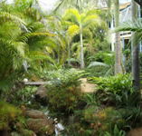 Chamomile Bed and Breakfast - Tourism Caloundra