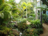 Chamomile Bed And Breakfast - Tourism Caloundra 0