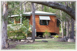 Queen Mary Falls Caravan Park And Cabins - Tourism Caloundra 1