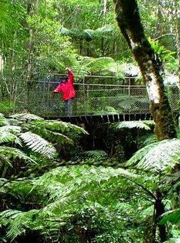 Katandra Mountain Farm House - Tourism Caloundra 2