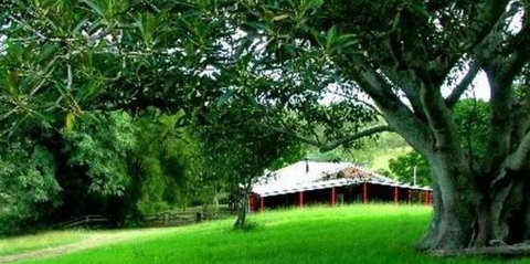 Katandra Mountain Farm House - Tourism Caloundra 5