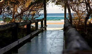 Anchorage Beachfront Island Resort - Tourism Caloundra 4
