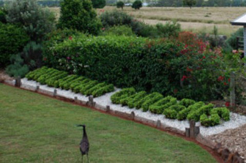 Mulanah Gardens Bed And Breakfast Cottages - Tourism Caloundra 5