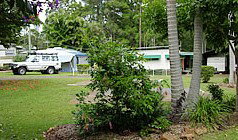 Lilyponds Holiday Park - Tourism Caloundra 5