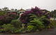 The Cottage At The Sanctuary Bed And Breakfast - thumb 1