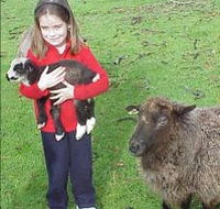 Cinnamon Coloureds Farmstay - Tourism Caloundra