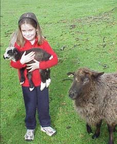 Cinnamon Coloureds Farmstay - Tourism Caloundra 0